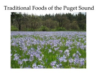 Traditional Foods of the Puget Sound 