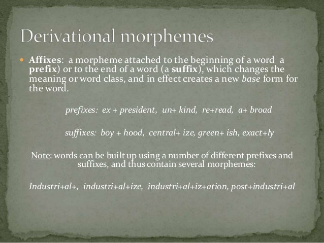 Traditional Grammar 1