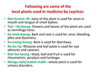 Following are some of the
local plants used in medicine by Lepchas:
• Mei-hroom-rik- Juice of the plant is used for sores in
mouth and tongue of small babies.
• Tuk—rik-koong- Flowers and leaves of the plant are used
as vermifuge tonic.
• Ka-chuk-koong- Bark and root is used for ulcer, bleeding,
piles and dysentery.
• Sa-naong-koong- Bark is used for diarrhoea.
• Re-be-rip- Rhizome and leaf paste is used for eye
ailments and cataract.
• Ruk-lim-koong –Seed, leaf and fruit is used for
rheumatism, paralysis and lumbago.
• Mongu-tafa/makch-mukh –whole plant is used for
urinary disorders.
 