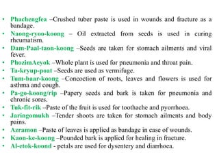 • Phachengfea –Crushed tuber paste is used in wounds and fracture as a
bandage.
• Naong-ryoo-koong – Oil extracted from seeds is used in curing
rheumatism.
• Dam-Paal-taon-koong –Seeds are taken for stomach ailments and viral
fever.
• PhozimAeyok –Whole plant is used for pneumonia and throat pain.
• Ta-kryup-poat –Seeds are used as vermifuge.
• Tum-baar-koong –Concoction of roots, leaves and flowers is used for
asthma and cough.
• Pa-go-koong/rip –Papery seeds and bark is taken for pneumonia and
chronic sores.
• Tuk-fit-rik –Paste of the fruit is used for toothache and pyorrhoea.
• Jaringomukh –Tender shoots are taken for stomach ailments and body
pains.
• Azramon –Paste of leaves is applied as bandage in case of wounds.
• Kaon-ke-koong –Pounded bark is applied for healing in fracture.
• Al-etok-koond - petals are used for dysentery and diarrhoea.
 