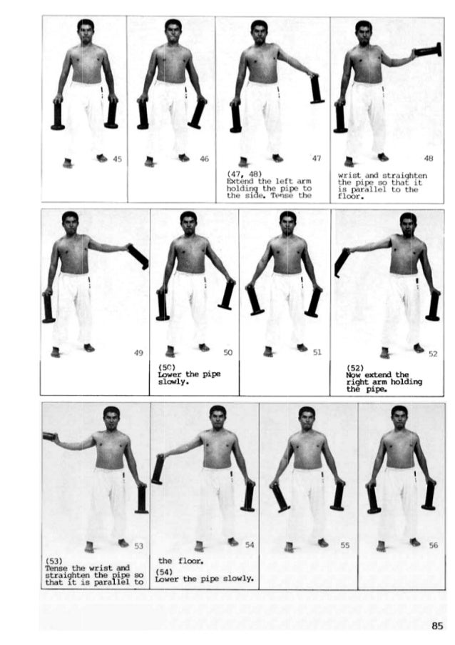 traditional karate do okinawa goju ryu pdf