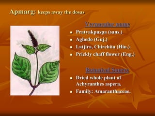 Apmarg: keeps away the dosas
Vernacular name
 Pratyakpuspa (sans.)
 Aghedo (Guj.)
 Latjira, Chirchita (Hin.)
 Prickly chaff flower (Eng.)
Botanical Source
 Dried whole plant of
Achyranthes aspera.
 Family: Amaranthaceae.
 