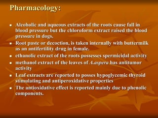 Pharmacology:
 Alcoholic and aqueous extracts of the roots cause fall in
blood pressure but the chloroform extract raised the blood
pressure in dogs.
 Root paste or decoction, is taken internally with buttermilk
as an antifertility drug in female.
 ethanolic extract of the roots possesses spermicidal activity
 methanol extract of the leaves of A.aspera has antitumor
activity
 Leaf extracts are reported to posses hypoglycemic thyroid
stimulating and antiperoxidative properties
 The antioxidative effect is reported mainly due to phenolic
components.
 