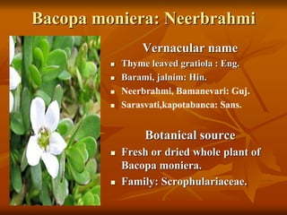 Bacopa moniera: Neerbrahmi
Vernacular name
 Thyme leaved gratiola : Eng.
 Barami, jalnim: Hin.
 Neerbrahmi, Bamanevari: Guj.
 Sarasvati,kapotabanca: Sans.
Botanical source
 Fresh or dried whole plant of
Bacopa moniera.
 Family: Scrophulariaceae.
 