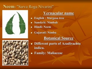 Neem: "Sarva Roga Nivarini"
Vernacular name
 English : Margosa tree
 Sanskrit: Nimbah
 Hindi: Neem
 Gujarati: Nimba
Botanical Source
 Different parts of Azadirachta
indica.
 Family: Maliaceae
 