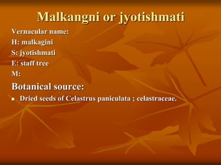 Malkangni or jyotishmati
Vernacular name:
H: malkagini
S: jyotishmati
E: staff tree
M:
Botanical source:
 Dried seeds of Celastrus paniculata ; celastraceae.
 