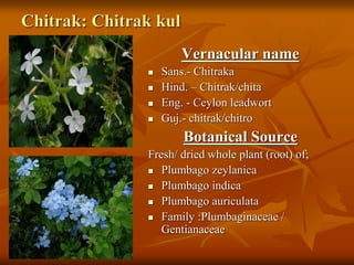 Chitrak: Chitrak kul
Vernacular name
 Sans.- Chitraka
 Hind. – Chitrak/chita
 Eng. - Ceylon leadwort
 Guj.- chitrak/chitro
Botanical Source
Fresh/ dried whole plant (root) of;
 Plumbago zeylanica
 Plumbago indica
 Plumbago auriculata
 Family :Plumbaginaceae /
Gentianaceae
 
