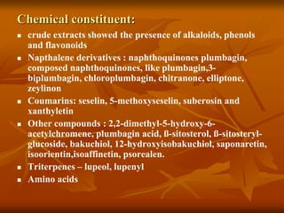 Chemical constituent:
 crude extracts showed the presence of alkaloids, phenols
and flavonoids
 Napthalene derivatives : naphthoquinones plumbagin,
composed naphthoquinones, like plumbagin,3-
biplumbagin, chloroplumbagin, chitranone, elliptone,
zeylinon
 Coumarins: seselin, 5-methoxyseselin, suberosin and
xanthyletin
 Other compounds : 2,2-dimethyl-5-hydroxy-6-
acetylchromene, plumbagin acid, ß-sitosterol, ß-sitosteryl-
glucoside, bakuchiol, 12-hydroxyisobakuchiol, saponaretin,
isoorientin,isoaffinetin, psorealen.
 Triterpenes – lupeol, lupenyl
 Amino acids
 