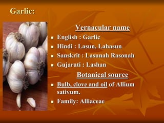 Garlic:
Vernacular name
 English : Garlic
 Hindi : Lasun, Lahasun
 Sanskrit : Lasunah Rasonah
 Gujarati : Lashan
Botanical source
 Bulb, clove and oil of Allium
sativum.
 Family: Alliaceae
 