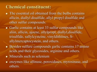 Chemical constituent:
 The essential oil obtained from the bulbs contains
allicin, diallyl disulfide, allyl propyl disulfide and
other sulfur compounds.
 Garlic contains at least 33 sulfur compounds like
aliin, allicin, ajoene, allylpropl, diallyl,disulfide,
trisulfide, sallylcysteine, vinyldithiines, S-
allylmercaptocystein, and others.
 Besides sulfure compounds garlic contains 17 amino
acids and their glycosides, arginine and others.
 Minerals such as selenium
 enzymes like allinase, peroxidases, myrosinase, and
others.
 
