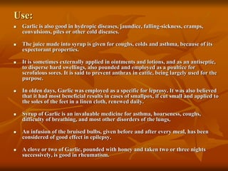 Use:
 Garlic is also good in hydropic diseases, jaundice, falling-sickness, cramps,
convulsions, piles or other cold diseases.
 The juice made into syrup is given for coughs, colds and asthma, because of its
expectorant properties.
 It is sometimes externally applied in ointments and lotions, and as an antiseptic,
to disperse hard swellings, also pounded and employed as a poultice for
scrofulous sores. It is said to prevent anthrax in cattle, being largely used for the
purpose.
 In olden days, Garlic was employed as a specific for leprosy. It was also believed
that it had most beneficial results in cases of smallpox, if cut small and applied to
the soles of the feet in a linen cloth, renewed daily.
 Syrup of Garlic is an invaluable medicine for asthma, hoarseness, coughs,
difficulty of breathing, and most other disorders of the lungs,
 An infusion of the bruised bulbs, given before and after every meal, has been
considered of good effect in epilepsy.
 A clove or two of Garlic, pounded with honey and taken two or three nights
successively, is good in rheumatism.
 