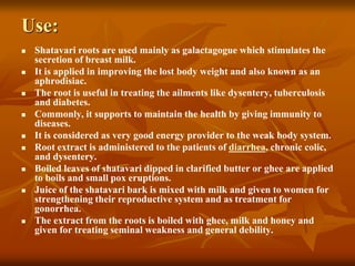 Use:
 Shatavari roots are used mainly as galactagogue which stimulates the
secretion of breast milk.
 It is applied in improving the lost body weight and also known as an
aphrodisiac.
 The root is useful in treating the ailments like dysentery, tuberculosis
and diabetes.
 Commonly, it supports to maintain the health by giving immunity to
diseases.
 It is considered as very good energy provider to the weak body system.
 Root extract is administered to the patients of diarrhea, chronic colic,
and dysentery.
 Boiled leaves of shatavari dipped in clarified butter or ghee are applied
to boils and small pox eruptions.
 Juice of the shatavari bark is mixed with milk and given to women for
strengthening their reproductive system and as treatment for
gonorrhea.
 The extract from the roots is boiled with ghee, milk and honey and
given for treating seminal weakness and general debility.
 