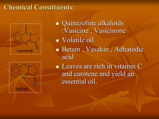 Chemical Constituents:
 Quinazoline alkaloids
:Vasicine , Vasicinone
 Volatile oil
 Betain , Vasakin , Adhatodic
acid
 Leaves are rich in vitamin C
and carotene and yield an
essential oil.
 