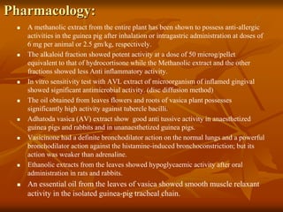 Pharmacology:
 A methanolic extract from the entire plant has been shown to possess anti-allergic
activities in the guinea pig after inhalation or intragastric administration at doses of
6 mg per animal or 2.5 gm/kg, respectively.
 The alkaloid fraction showed potent activity at a dose of 50 microg/pellet
equivalent to that of hydrocortisone while the Methanolic extract and the other
fractions showed less Anti inflammatory activity.
 In vitro sensitivity test with AVL extract of microorganism of inflamed gingival
showed significant antimicrobial activity. (disc diffusion method)
 The oil obtained from leaves flowers and roots of vasica plant possesses
significantly high activity against tubercle bacilli.
 Adhatoda vasica (AV) extract show good anti tussive activity in anaesthetized
guinea pigs and rabbits and in unanaesthetized guinea pigs.
 Vasicinone had a definite bronchodilator action on the normal lungs and a powerful
bronchodilator action against the histamine-induced bronchoconstriction; but its
action was weaker than adrenaline.
 Ethanolic extracts from the leaves showed hypoglycaemic activity after oral
administration in rats and rabbits.
 An essential oil from the leaves of vasica showed smooth muscle relaxant
activity in the isolated guinea-pig tracheal chain.
 