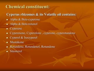 Chemical constituent:
Cyperus rhizomes & its Volatile oil contains:
 Alpha & Beta-cyperone
 Alpha & Beta-rotunol
 Cyperene
 Cyperenone, Cyperolone , cyperone, cyperotundone
 Cyperol & Isocyperol
 Mustakone
 Rotundene, Rotundenol, Rotundone
 Sitosterol
 