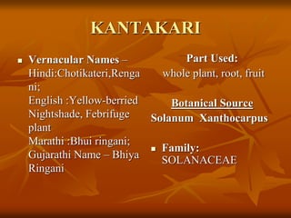 KANTAKARI
 Vernacular Names –
Hindi:Chotikateri,Renga
ni;
English :Yellow-berried
Nightshade, Febrifuge
plant
Marathi :Bhui ringani;
Gujarathi Name – Bhiya
Ringani
Part Used:
whole plant, root, fruit
Botanical Source
Solanum Xanthocarpus
 Family:
SOLANACEAE
 