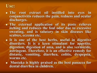 Use:
 The root extract oil instilled into eyes in
conjunctivitis reduces the pain, redness and ocular
discharges.
 The external application of its paste relieves
itching and reduces the foul odor due to excessive
sweating, and is salutary in skin diseases like
scabies, eczema etc.
 It is one of the best herbs, useful in digestive
disorders. It is a keen stimulant for appetite,
digestion, digestion of ama, and is also vermicide,
astringent. Therefore, it is an effective remedy for
distaste, vomiting, diarrhea, colitis, dyspepsia,
worms etc.
 Mustaka is highly praised as the best panacea for
dental diarrhea in children.
 