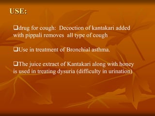 USE:
drug for cough: Decoction of kantakari added
with pippali removes all type of cough
Use in treatment of Bronchial asthma.
The juice extract of Kantakari along with honey
is used in treating dysuria (difficulty in urination)
 