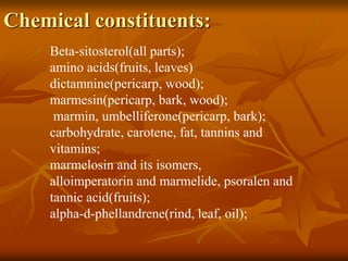 Chemical constituents:
Beta-sitosterol(all parts);
amino acids(fruits, leaves)
dictamnine(pericarp, wood);
marmesin(pericarp, bark, wood);
marmin, umbelliferone(pericarp, bark);
carbohydrate, carotene, fat, tannins and
vitamins;
marmelosin and its isomers,
alloimperatorin and marmelide, psoralen and
tannic acid(fruits);
alpha-d-phellandrene(rind, leaf, oil);
 