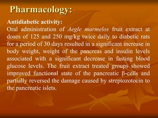 Pharmacology:
Antidiabetic activity:
Oral administration of Aegle marmelos fruit extract at
doses of 125 and 250 mg/kg twice daily to diabetic rats
for a period of 30 days resulted in a significant increase in
body weight, weight of the pancreas and insulin levels
associated with a significant decrease in fasting blood
glucose levels. The fruit extract treated groups showed
improved functional state of the pancreatic β-cells and
partially reversed the damage caused by streptozotocin to
the pancreatic islets.
 
