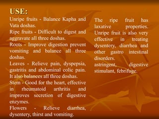 USE:
Unripe fruits - Balance Kapha and
Vata doshas.
Ripe fruits - Difficult to digest and
aggravate all three doshas.
Roots - Improve digestion prevent
vomiting and balance all three
doshas.
Leaves - Relieve pain, dyspepsia,
gastritis and abdominal colic pain.
It also balances all three doshas.
Stem - Good for the heart, effective
in rheumatoid arthritis and
improves secretion of digestive
enzymes.
Flowers - Relieve diarrhea,
dysentery, thirst and vomiting.
The ripe fruit has
laxative properties.
Unripe fruit is also very
effective in treating
dysentery, diarrhea and
other gastro intestinal
disorders.
astringent, digestive
stimulant, febrifuge.
 