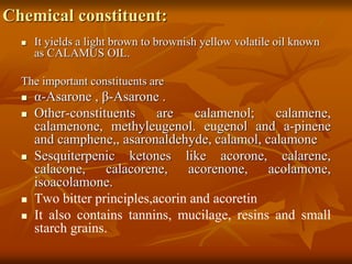 Chemical constituent:
 It yields a light brown to brownish yellow volatile oil known
as CALAMUS OIL.
The important constituents are
 α-Asarone , β-Asarone .
 Other-constituents are calamenol; calamene,
calamenone, methyleugenol. eugenol and a-pinene
and camphene,, asaronaldehyde, calamol, calamone
 Sesquiterpenic ketones like acorone, calarene,
calacone, calacorene, acorenone, acolamone,
isoacolamone.
 Two bitter principles,acorin and acoretin
 It also contains tannins, mucilage, resins and small
starch grains.
 
