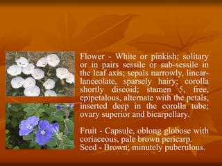 Flower - White or pinkish; solitary
or in pairs sessile or sub-sessile in
the leaf axis; sepals narrowly, linear-
lanceolate, sparsely hairy; corolla
shortly discoid; stamen 5, free,
epipetalous, alternate with the petals,
inserted deep in the corolla tube;
ovary superior and bicarpellary.
Fruit - Capsule, oblong globose with
coriaceous, pale brown pericarp.
Seed - Brown; minutely puberulous.
 