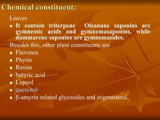 Chemical constituent:
Leaves
 It contain triterpene Oleanane saponins are
gymnemic acids and gymnemasaponins, while
dammarene saponins are gymnemasides.
Besides this, other plant constituents are
 Flavones
 Phytin
 Resins
 butyric acid
 Lupeol
 quercitol
 β-amyrin related glycosides and stigmasterol.
 
