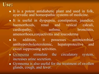Use:
 It is a potent antidiabetic plant and used in folk,
ayurvedic and homeopathic systems of medicine.
 It is useful in dyspepsia, constipation, jaundice,
haemorrhoids, renal and vesical calculi,
cardiopathy, asthma, bronchitis,
amenorrhoea,conjuctivitis and leucoderma
 In addition, it possesses antimicrobial,
antihypercholesterolemic, hepatoprotective and
sweet suppressing activities.
 Gymnema stimulate the circulatory system,
increases urine secretion.
 Gymnema is also useful for the treatment of swollen
glands, cough, and fever.
 