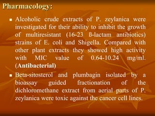 Pharmacology:
 Alcoholic crude extracts of P. zeylanica were
investigated for their ability to inhibit the growth
of multiresistant (16-23 ß-lactam antibiotics)
strains of E. coli and Shigella. Compared with
other plant extracts they showed high activity
with MIC value of 0.64-10.24 mg/ml.
(Antibacterial)
 Beta-sitosterol and plumbagin isolated by a
bioassay guided fractionation of the
dichloromethane extract from aerial parts of P.
zeylanica were toxic against the cancer cell lines.
 