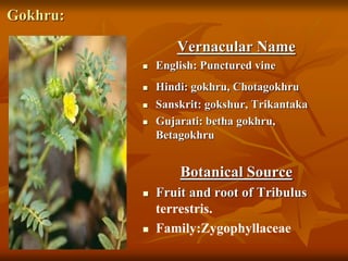 Gokhru:
Vernacular Name
 English: Punctured vine
 Hindi: gokhru, Chotagokhru
 Sanskrit: gokshur, Trikantaka
 Gujarati: betha gokhru,
Betagokhru
Botanical Source
 Fruit and root of Tribulus
terrestris.
 Family:Zygophyllaceae
 