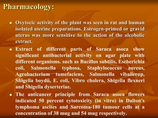 Pharmacology:
 Oxytocic activity of the plant was seen in rat and human
isolated uterine preparations. Estrogen-primed or gravid
uterus was more sensitive to the action of the alcoholic
extract.
 Extract of different parts of Saraca asoca show
significant antibacterial activity on agar plate with
different organisms. such as Bacillus subtilis, Escherichia
coli, Salmonella typhosa, Staphylococcus aureus,
Agrobacterium tumefaciens, Salmonella viballerup,
Shigella boydii, E. coli, Vibro cholera, Shigella flexneri
and Shigella dyserteriae.
 The anticancer principle from Saraca asoca flowers
indicated 50 percent cytotoxicity (in vitro) in Dalton's
lymphoma ascites and Sarcoma-180 tumour cells at a
concentration of 38 mug and 54 mug respectively.
 