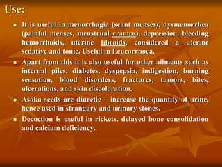 Use:
 It is useful in menorrhagia (scant menses), dysmenorrhea
(painful menses, menstrual cramps), depression, bleeding
hemorrhoids, uterine fibroids, considered a uterine
sedative and tonic. Useful in Leucorrhoea.
 Apart from this it is also useful for other ailments such as
internal piles, diabetes, dyspepsia, indigestion, burning
sensation, blood disorders, fractures, tumors, bites,
ulcerations, and skin discoloration.
 Asoka seeds are diuretic – increase the quantity of urine,
hence used in strangury and urinary stones.
 Decoction is useful in rickets, delayed bone consolidation
and calcium deficiency.
 