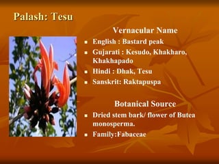 Palash: Tesu
Vernacular Name
 English : Bastard peak
 Gujarati : Kesudo, Khakharo,
Khakhapado
 Hindi : Dhak, Tesu
 Sanskrit: Raktapuspa
Botanical Source
 Dried stem bark/ flower of Butea
monosperma.
 Family:Fabaceae
 