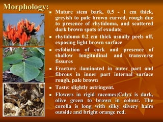 Morphology:
 Mature stem bark, 0.5 - 1 cm thick,
greyish to pale brown curved, rough due
to presence of rhytidoma, and scattered
dark brown spots of exudate
 rhytidoma 0.2 cm thick usually peels off,
exposing light brown surface
 exfoliation of cork and presence of
shallow longitudinal and transverse
fissures
 Fracture :laminated in outer part and
fibrous in inner part internal surface
rough, pale brown
 Taste: slightly astringent.
 Flowers in rigid racemes;Calyx is dark,
olive green to brown in colour. The
corolla is long with silky silvery hairs
outside and bright orange red.
 