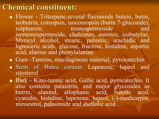 Chemical constituent:
 Flower - Triterpene,several flavonoids butein, butin,
isobutrin, coreopsin, isocoreopsin (butin 7-glucoside),
sulphurein, monospermoside and
isomonospermoside, chalcones, aurones, isobutyine,
Myricyl alcohol, stearic, palmitic, arachidic and
lignoceric acids, glucose, fructose, histidine, aspartic
acid, alanine and phenylalanine
 Gum -Tannins, mucilaginous material, pyrocatechin
 Stem of Butea contain Lupenone, lupeol and
sitosterol
 Bark - Kino-tannic acid, Gallic acid, pyrocatechin. It
also contains palasitrin, and major glycosides as
butrin, alanind, allophanic acid, butolic acid,
cyanidin, histidine, lupenone, lupeol, (-)-medicarpin,
miroestrol, palasimide and shellolic acid .
 