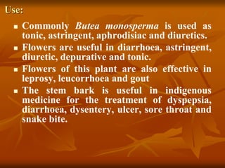 Use:
 Commonly Butea monosperma is used as
tonic, astringent, aphrodisiac and diuretics.
 Flowers are useful in diarrhoea, astringent,
diuretic, depurative and tonic.
 Flowers of this plant are also effective in
leprosy, leucorrhoea and gout
 The stem bark is useful in indigenous
medicine for the treatment of dyspepsia,
diarrhoea, dysentery, ulcer, sore throat and
snake bite.
 