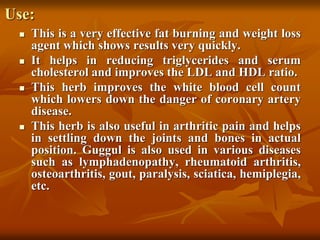 Use:
 This is a very effective fat burning and weight loss
agent which shows results very quickly.
 It helps in reducing triglycerides and serum
cholesterol and improves the LDL and HDL ratio.
 This herb improves the white blood cell count
which lowers down the danger of coronary artery
disease.
 This herb is also useful in arthritic pain and helps
in settling down the joints and bones in actual
position. Guggul is also used in various diseases
such as lymphadenopathy, rheumatoid arthritis,
osteoarthritis, gout, paralysis, sciatica, hemiplegia,
etc.
 