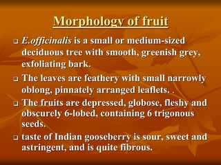 Morphology of fruit
 E.officinalis is a small or medium-sized
deciduous tree with smooth, greenish grey,
exfoliating bark.
 The leaves are feathery with small narrowly
oblong, pinnately arranged leaflets. .
 The fruits are depressed, globose, fleshy and
obscurely 6-lobed, containing 6 trigonous
seeds.
 taste of Indian gooseberry is sour, sweet and
astringent, and is quite fibrous.
 