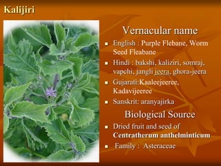 Kalijiri
Vernacular name
 English : Purple Flebane, Worm
Seed Fleabane
 Hindi : bakshi, kaliziri, somraj,
vapchi, jangli jeera, ghora-jeera
 Gujarati:Kaaleejeeree,
Kadavijeeree
 Sanskrit: aranyajirka
Biological Source
 Dried fruit and seed of
Centratherum anthelminticum
 Family : Asteraceae
 