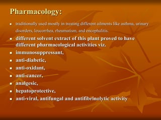 Pharmacology:
 traditionally used mostly in treating different ailments like asthma, urinary
disorders, leucorrhea, rheumatism, and encephalitis.
 different solvent extract of this plant proved to have
different pharmacological activities viz.
 immunosuppressant,
 anti-diabetic,
 anti-oxidant,
 anti-cancer,
 analgesic,
 hepatoprotective,
 anti-viral, antifungal and antifibrinolytic activity
 