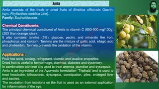 Amla consists of the fresh or dried fruits of Emblica officinalis Gaertn.
(syn. Phyllanthus emblica Linn).
Family: Euphorbiaceae.
Chemical Constituents:
The principal chemical constituent of Amla is vitamin C (650-900 mg/100g)
(20X than orange juice).
It also contains tannins (5%), glucose, pectin, and minerals like iron,
phosphorus and calcium. Tannins are the mixture of gallic acid, ellagic acid
and phyllembin. Tannins prevents the oxidation of the vitamin.
Fruit has acrid, cooing, refrigerant, diuretic and laxative properties.
Dried fruit is useful in hemorrhage, diarrhea, diabetes and dysentery.
In combination with iron it is used to treat anemia, jaundice and dyspepsia.
Amla is an ingredient of the Ayurvedic formulation “Triphala' and is used to
treat headache, biliousness. dyspepsia, constipation, piles, enlarged liver
and ascites.
The exudation from incisions on the fruit is used as an external application
for inflammation of the eye.
Amla
M
d
.
I
m
r
a
n
N
u
r
M
a
n
i
k
 