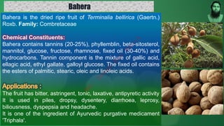 Bahera is the dried ripe fruit of Terminalia bellirica (Gaertn.)
Roxb. Family: Combretaceae
Chemical Constituents:
Bahera contains tannins (20-25%), phyllemblin, beta-sitosterol,
mannitol, glucose, fructose, rhamnose, fixed oil (30-40%) and
hydrocarbons. Tannin component is the mixture of gallic acid,
ellagic acid, ethyl gallate, galloyl glucose. The fixed oil contains
the esters of palmitic, stearic, oleic and linoleic acids.
The fruit has bitter, astringent, tonic, laxative, antipyretic activity
It is used in piles, dropsy, dysentery, diarrhoea, leprosy,
biliousness, dyspepsia and headache.
It is one of the ingredient of Ayurvedic purgative medicament
'Triphala'.
Bahera
M
d
.
I
m
r
a
n
N
u
r
M
a
n
i
k
 