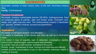 Myrobalan consists of dried mature fruits, of the tree Terminalia chebula
Retz.
Family: Combretaceac.
Chemical Constituents:
Myrobalan contains hydrolysable tannins (30-40%), anthraquinones, fixed
oil containing esters of palmitic, oleic and linoleic acids; Chebulinic acid;
ellagic acid. gallic acid and resin. The carbohydrates present in Myrobalan
are : glucose. Sorbitol, fructose, sucrose and gentiobiose.
Myrobalan is astringent,laxative, and alterative;.
It is useful in weakness of the nerves and brain as well as in diminished
vision.
It is useful in loss of appetite, pain in abdomen, constipation, ascites,
heamorroids, hepatomegaly, splenomegaly and parasites.
Its powder used as a tooth powder, strengthens the gums.
Rhinitis, cough, hoarseness of voice, hiccups and dyspnoea are relieved
Haritaki prevents accumulation of pus in skin disease; extremely helpful in
healing of wounds.
Haritaki (MYROBALAN)
M
d
.
I
m
r
a
n
N
u
r
M
a
n
i
k
 