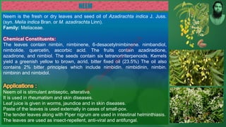 Neem is the fresh or dry leaves and seed oil of Azadirachta indica J. Juss.
(syn. Melia indica Bran. or M. azadirachta Linn).
Family: Meliaceae.
Chemical Constituents:
The leaves contain nimbin, nimbinene, 6-desacetylnimbinene. nimbandiol,
nimbolide. quercetin, ascorbic acid. The fruits contain azadiradione,
azadirone, and nimbiol. The seeds contain six tetranortriterpenoids. Kernels
yield a greenish yellow to brown, acrid, bitter fixed oil (23.5%) The oil also
contains 2% bitter principles which include nimbidin. nimbidinin, nimbin.
nimbinin and nimbidol.
Neem oil is stimulant antiseptic, alterative.
It is used in rheumatism and skin diseases.
Leaf juice is given in worms, jaundice and in skin diseases.
Paste of the leaves is used externally in cases of small-pox.
The tender leaves along with Piper nigrum are used in intestinal helminthiasis.
The leaves are used as insect-repellent, anti-viral and antifungal.
M
d
.
I
m
r
a
n
N
u
r
M
a
n
i
k
 