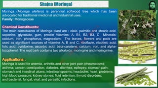 Moringa (Moringa oleifera) is perennial softwood tree which has been
advocated for traditional medicinal and industrial uses.
Family: Moringaceae
Chemical Constituents:
The main constituents of Moringa plant are : oleic, palmitic and stearic acid,
saponins, glycoside, gum, protein Vitamins: A, B1, B2, B3, C Minerals:
calcium, iron, phosphorus, magnesium. The leaves, flowers and pods are
used as significant sources of vitamins A, B and C, riboflavin, nicotinic acid,
folic acid, pyridoxine, ascorbic acid, beta-carotene, calcium, iron, and alpha-
tocopherol .The root bark contains two alkaloids: moringine and moringinine.
Moringa is used for anemia, arthritis and other joint pain (rheumatism);
asthma; cancer; constipation; diabetes; diarrhea; epilepsy; stomach pain;
stomach and intestinal ulcers; intestinal spasms; headache; heart problems;
high blood pressure; kidney stones; fluid retention; thyroid disorders;
and bacterial, fungal, viral, and parasitic infections.
M
d
.
I
m
r
a
n
N
u
r
M
a
n
i
k
 