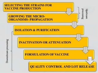 Traditional vaccine preparation | PPTX