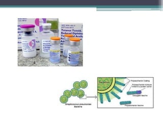 Traditional vaccine preparation | PPTX