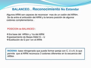 BALANCEO… Reconocimiento No Estandar
Algunos ARNt son capaces de reconocer mas de un codón del ARNm.
Se da entre el anticodón del ARNt y la tercera posición de algunos
codones complementarios .
POSICION de BALANCEO :
3ra base del ARNm y 1ra del ARNt
apareamiento de Bases Débil G – U
Sustitución de G por I en el ARNt
INOSINA: base nitrogenada que puede formar pareja con C, U o A, lo que
permite que al ARNt reconozca 3 codones diferentes en la secuencia del
ARNm
 