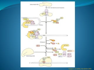 Cooper´s. La célula. 3ra edición 2004
 